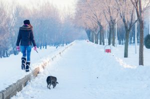 Teenage girl walking dog on cold winter day